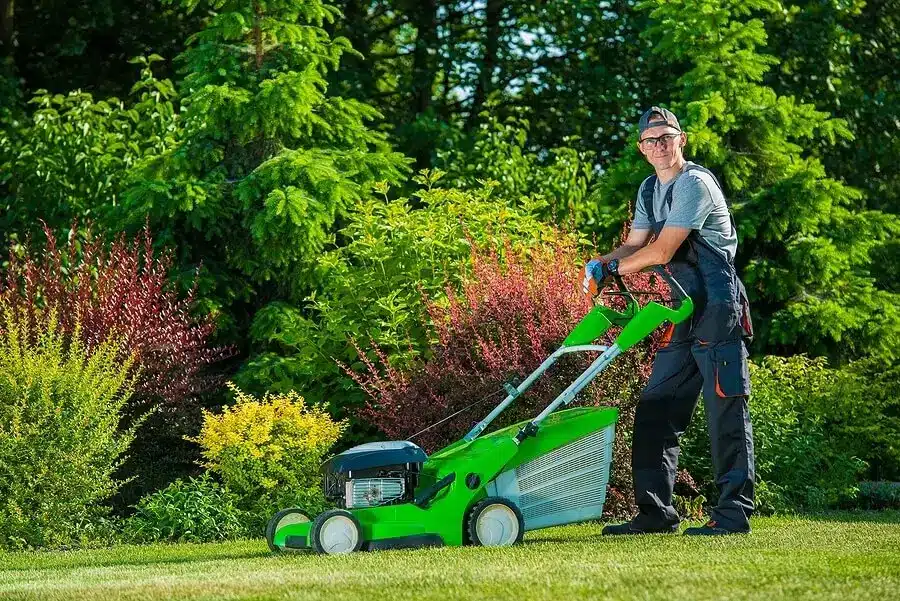 Tree Maintenance