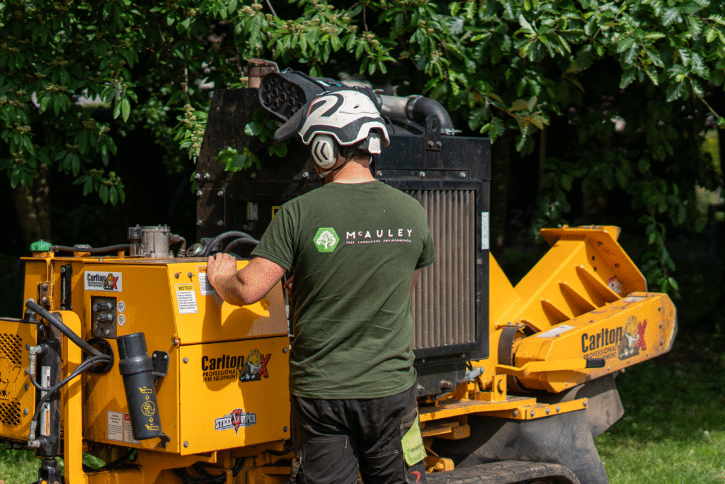 How to Choose the Best Tree Surgeons in Belfast? 1