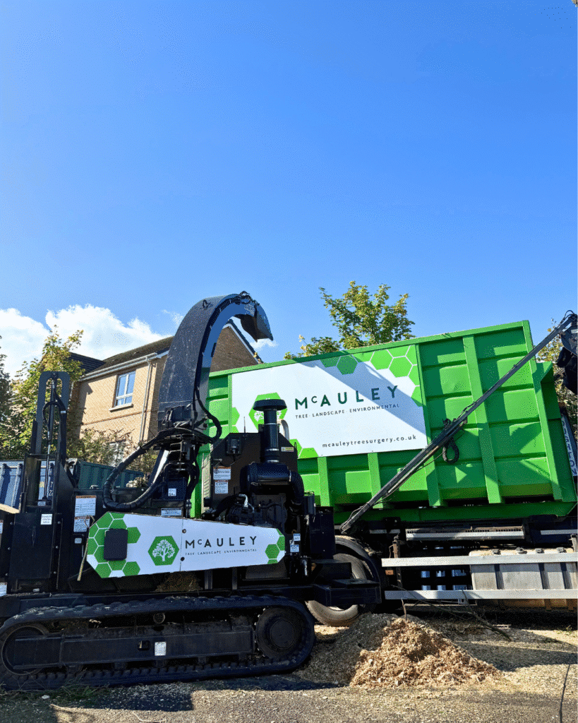tree surgery coleraine