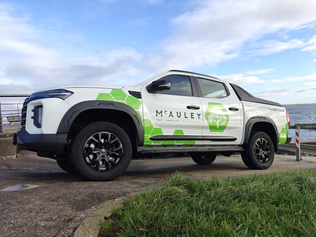 tree surgeon in belfast