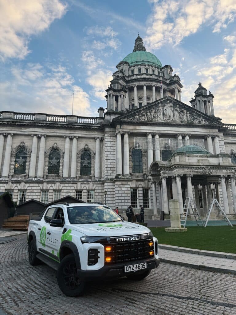 Tree Surgeon Belfast