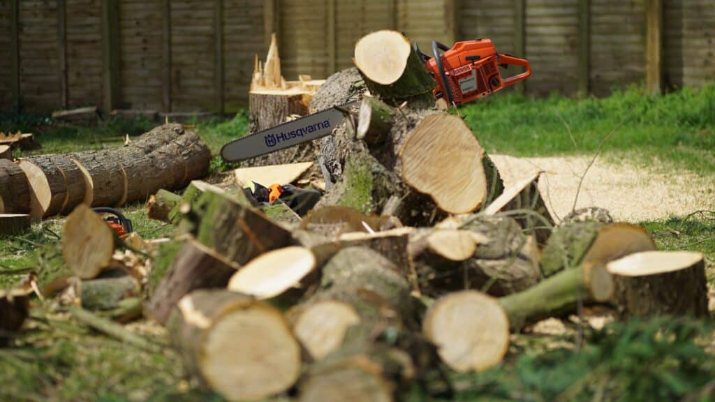Commericial Services 7 Tree Surgeon Guide