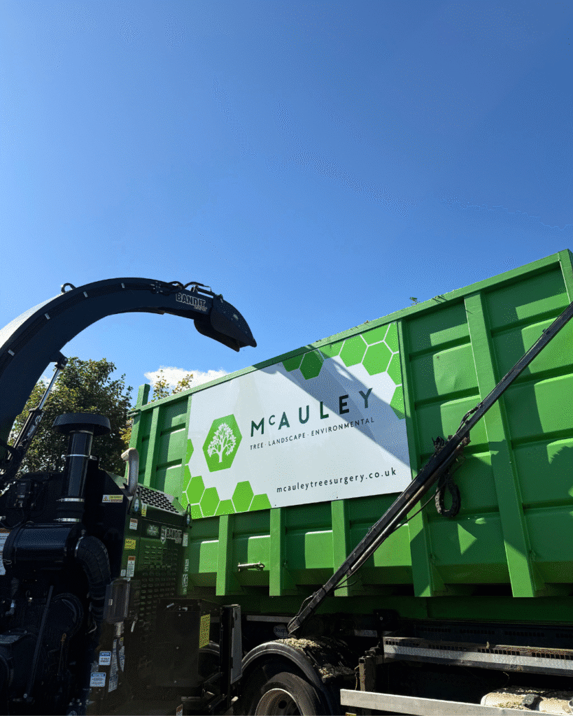 sustainable tree surgery