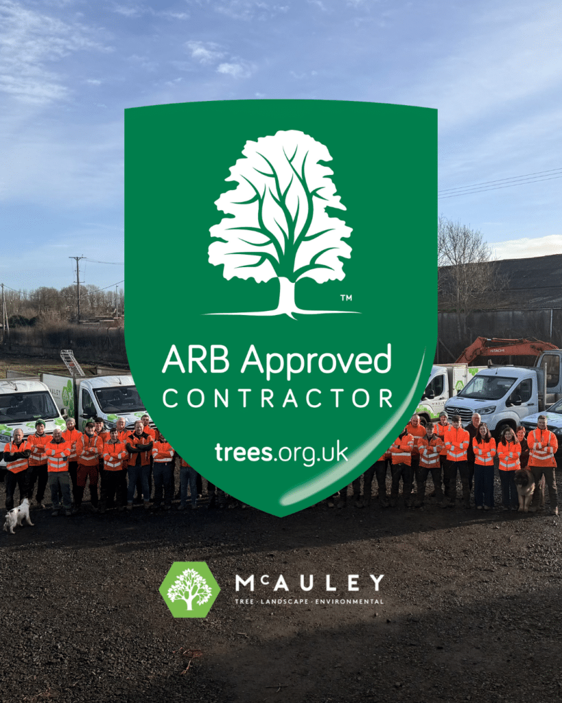 northern ireland tree surgeons