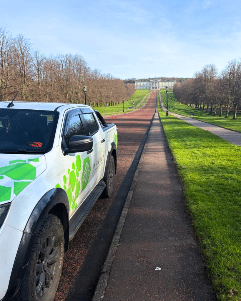Tree Surgeons Belfast