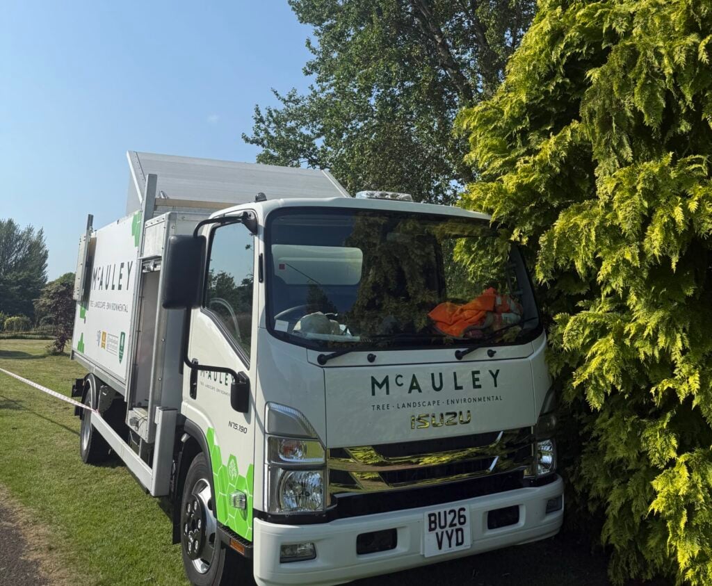 commercial tree surgery northern ireland